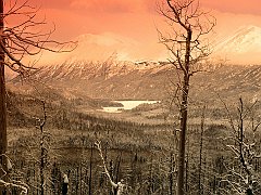 Winter Embraced, Skilak Lake, Kenai Peninsula, Alaska